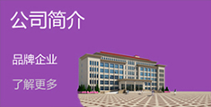 公司簡(jiǎn)介